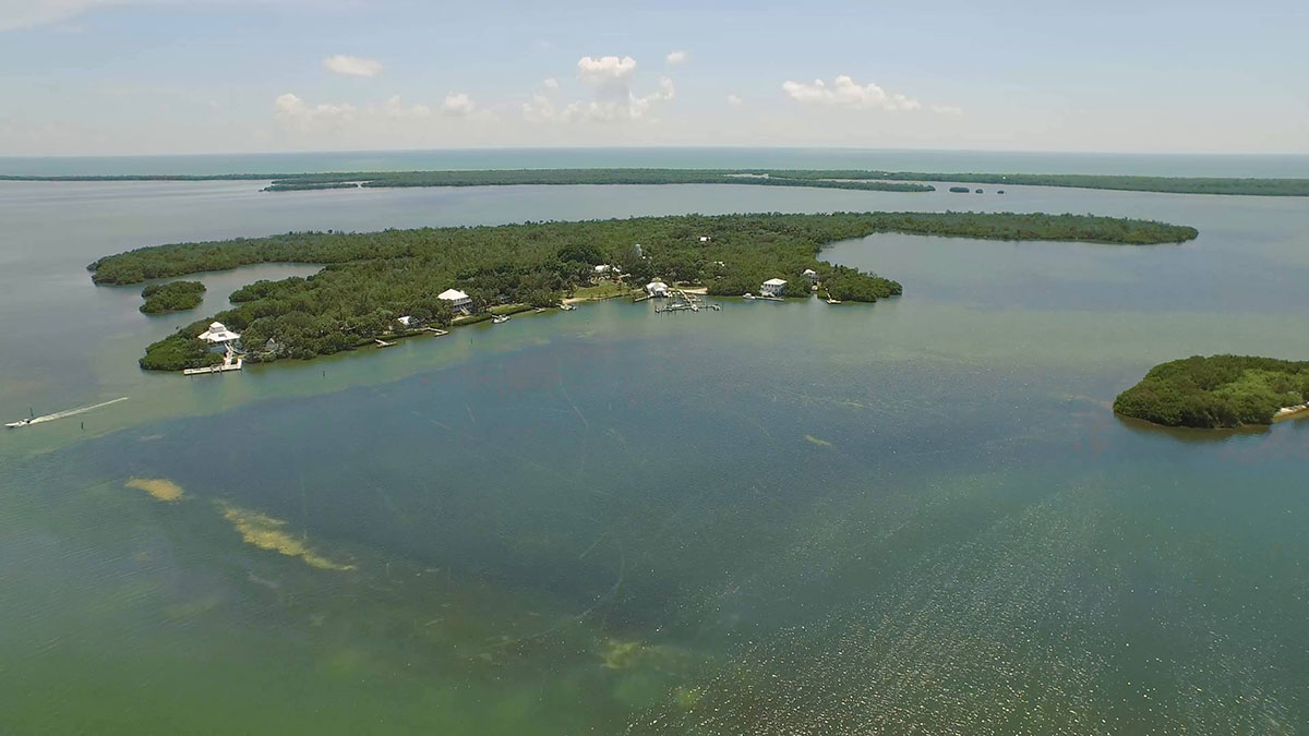 Drone shot of Cabbage Key