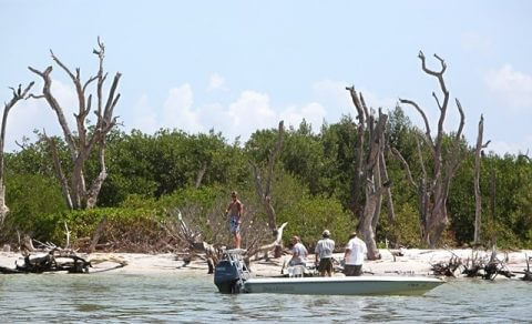 Fisherman angle for snook off of nearby Cayo Costa Island and Pine Island Sound. Fishing and exploring the various islands are main activities for boaters at the Cabbage Key Lodge and Restaurant.   