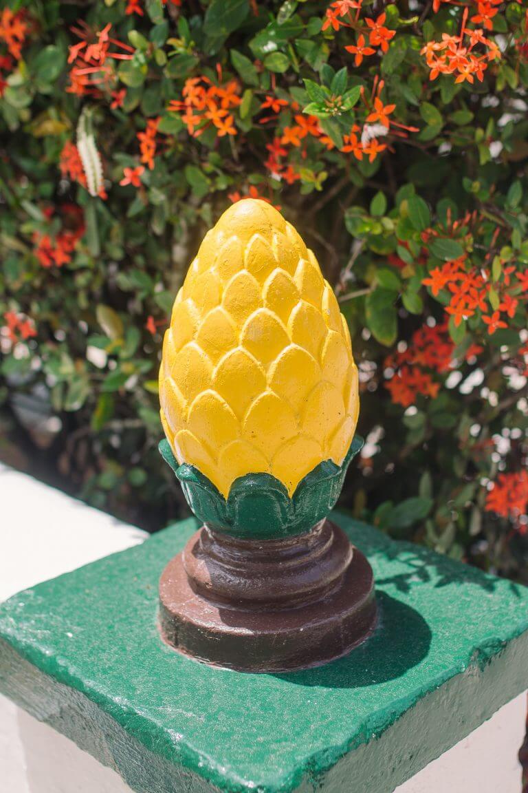 A Magical Boat Ride Cabbage Key Inn & Restaurant