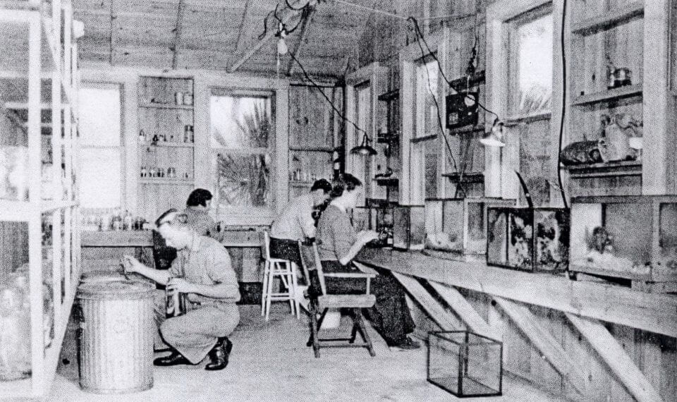 History of Cabbage Key Cabbage Key Inn & Restaurant