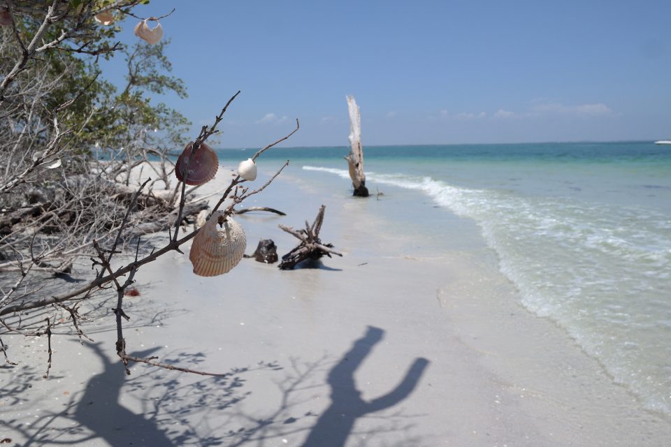 Tide Chart Cayo Costa Florida