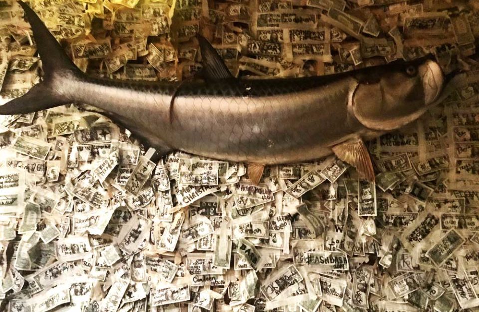 A large tarpon hangs on the bill clad wall of The Dollar Bill Bar at Cabbage Key Inn