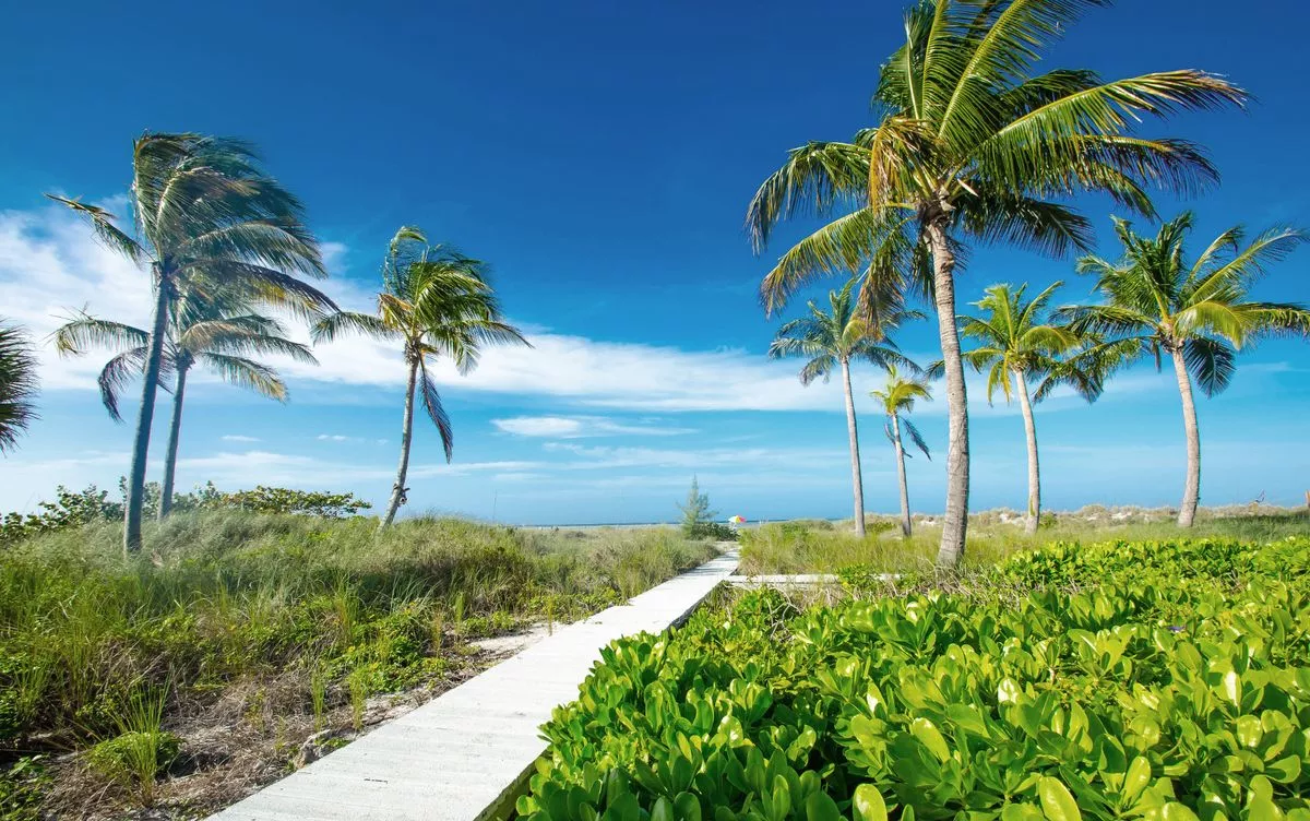 Beautiful Captiva