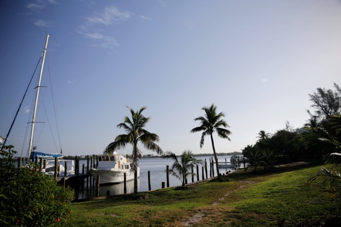 serene view of docked boats at at cabbage key