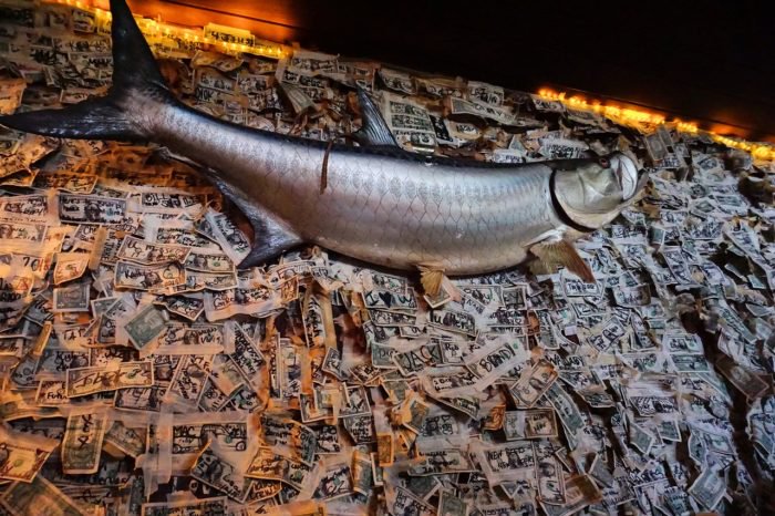 Thousands of one-dollar bills taped on walls with mounted tarpon